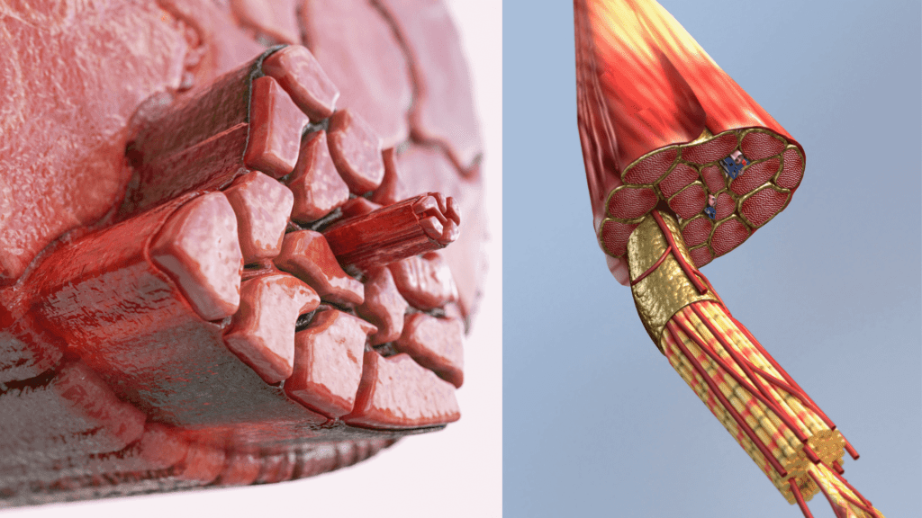 METAL vs COMPOSITE 4